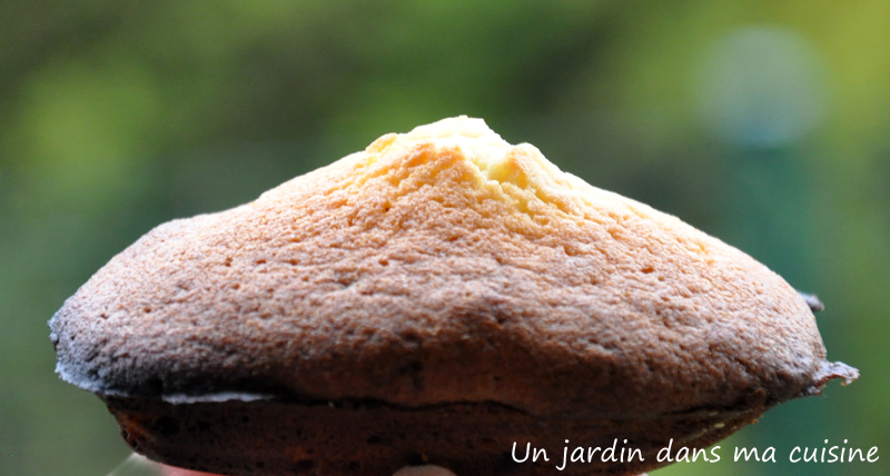 Madeleine au confit de citron un jardin dans ma cuisine