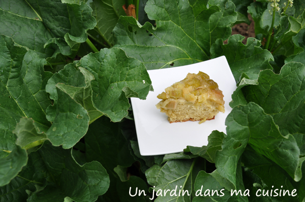 gâteau rhubarbe