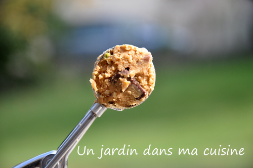 cookies_2_un_jardin_dans_ma_cuisine_