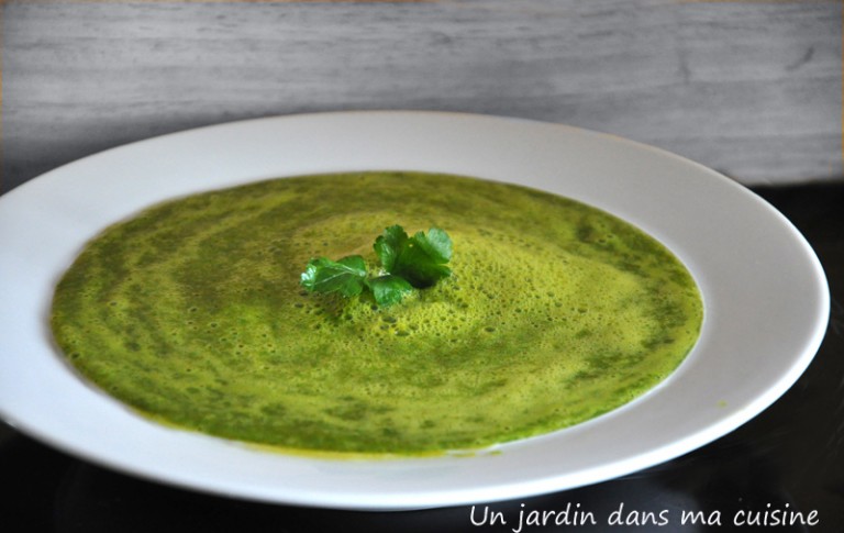soupe crue persil carottes