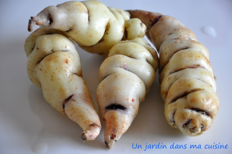 capucines tubéreuses et carottes sautées à l'ail