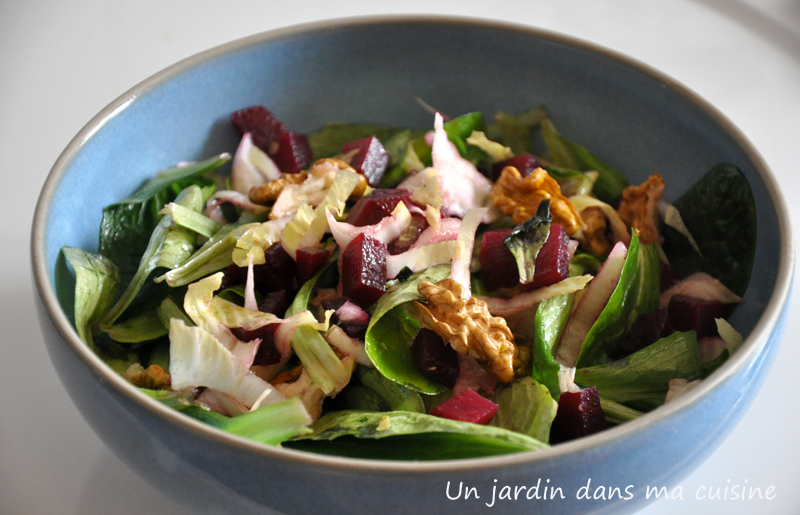 salade d'hiver un jardin dans ma cuisine