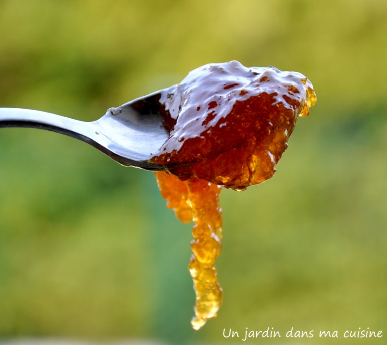 confit de citron un jardin dans ma cuisine