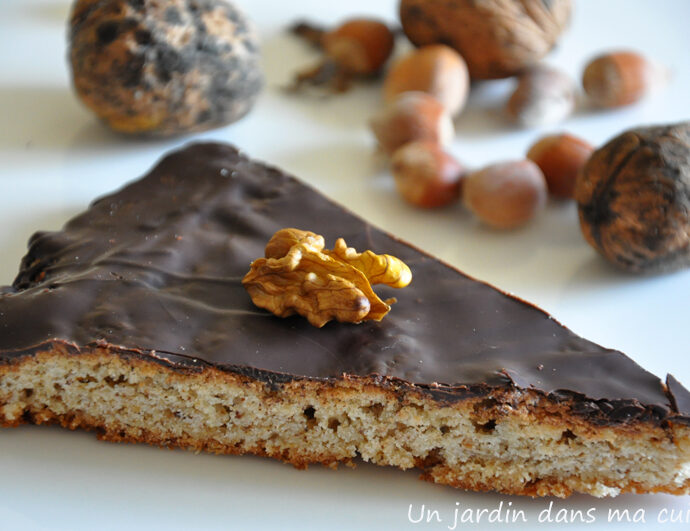 Gâteau aux noisettes, noix et chocolat