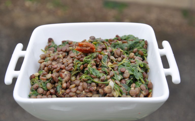 lentilles au pourpier