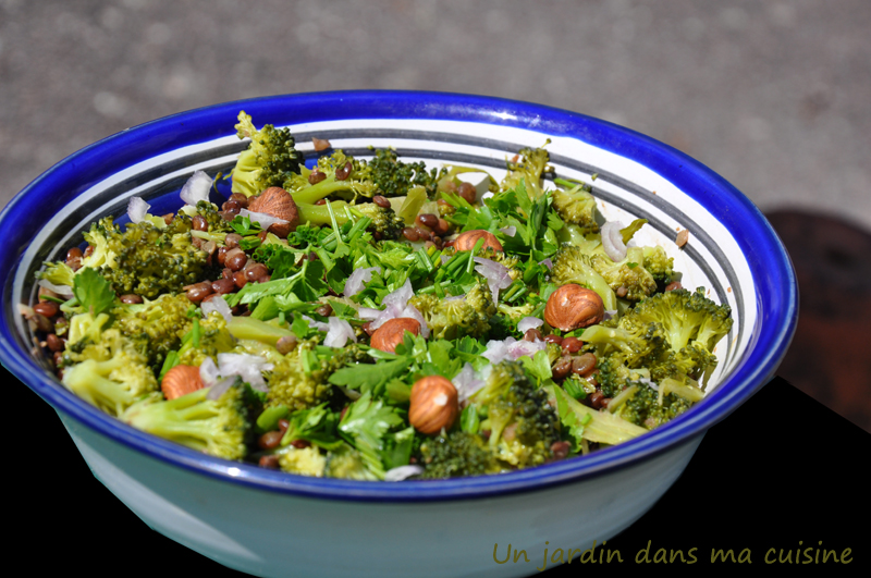 salade de lentilles au brocoli un jardin dans ma cuisine