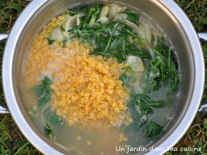 Veloute Fane De Radis Thermomix Velouté De Fane De Radis Et Céleris Branche 9 velouté de fanes de radis - Un jardin dans ma cuisine