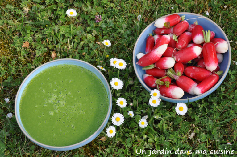 velouté de fanes de radis