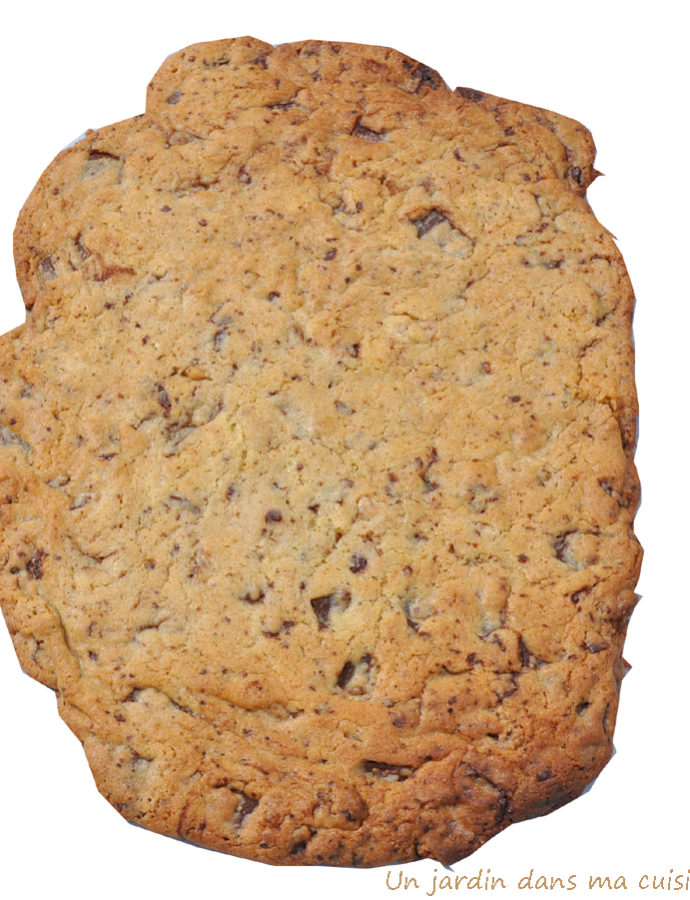 cookie géant