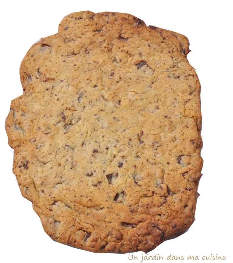 cooki géant un jardin dans ma cuisine wordpress