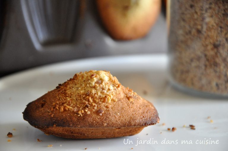 madeleine-un-jardin-dans-ma-cuisine
