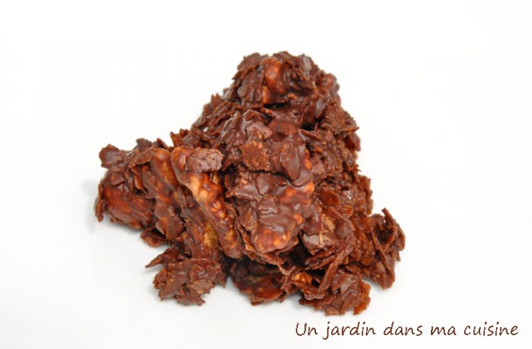 roses des sables un jardin dans ma cuisine