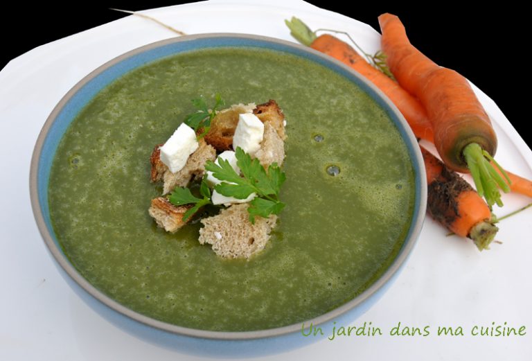 soupe de fanes de carottes un jardin dans ma cuisine