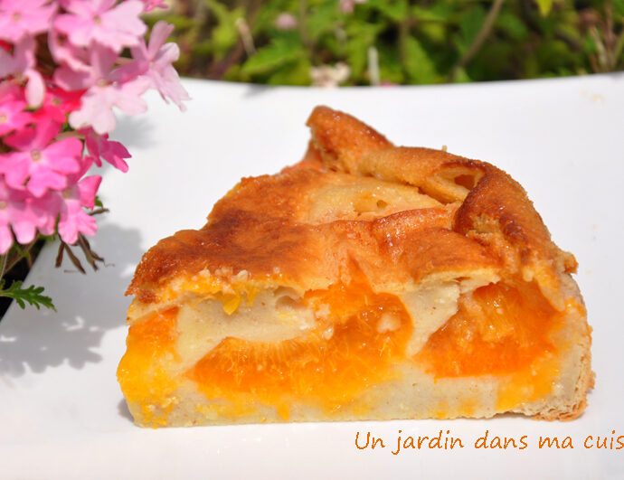 clafoutis abricots lait végétal