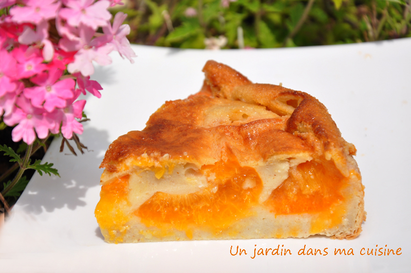 clafoutis abricots lait végétal