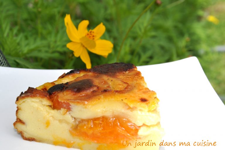 flan abricots un jardin dans ma cuisine