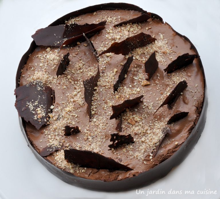 entremet au chocolat