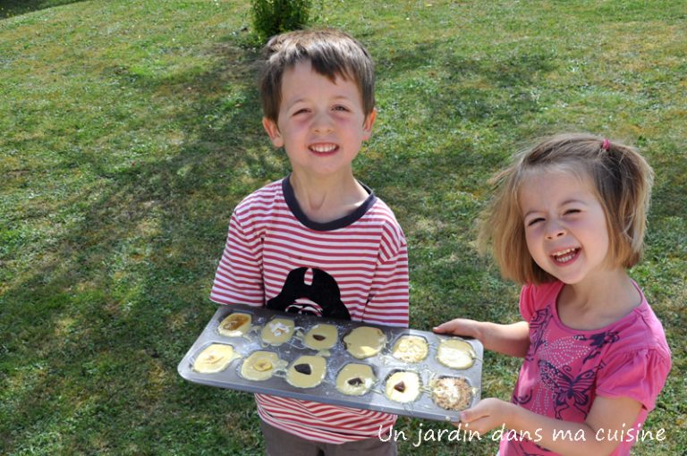 madeleines surprises un jardin dans ma cuisine