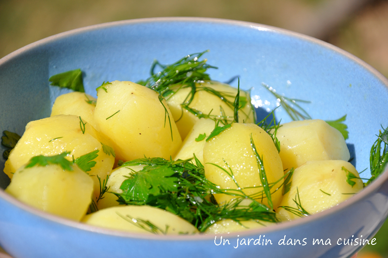 salade pommes de terre aneth persil citron un jardin dans ma cuisine