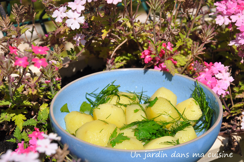 salade pommes de terre aneth persil citron un jardin dans ma cuisine