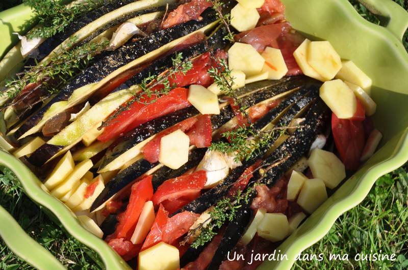 aubergines en éventail