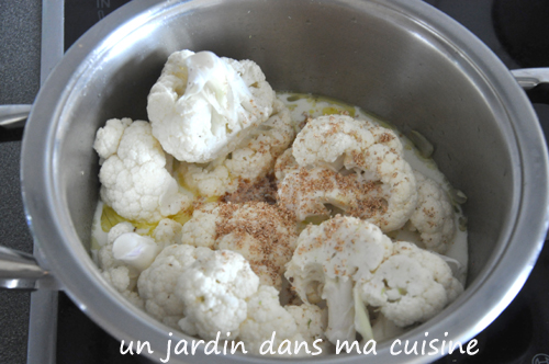 veloute-de-chou-fleur-aux-des-de-potimarron-un-jardin-dans-ma-cuisine-3