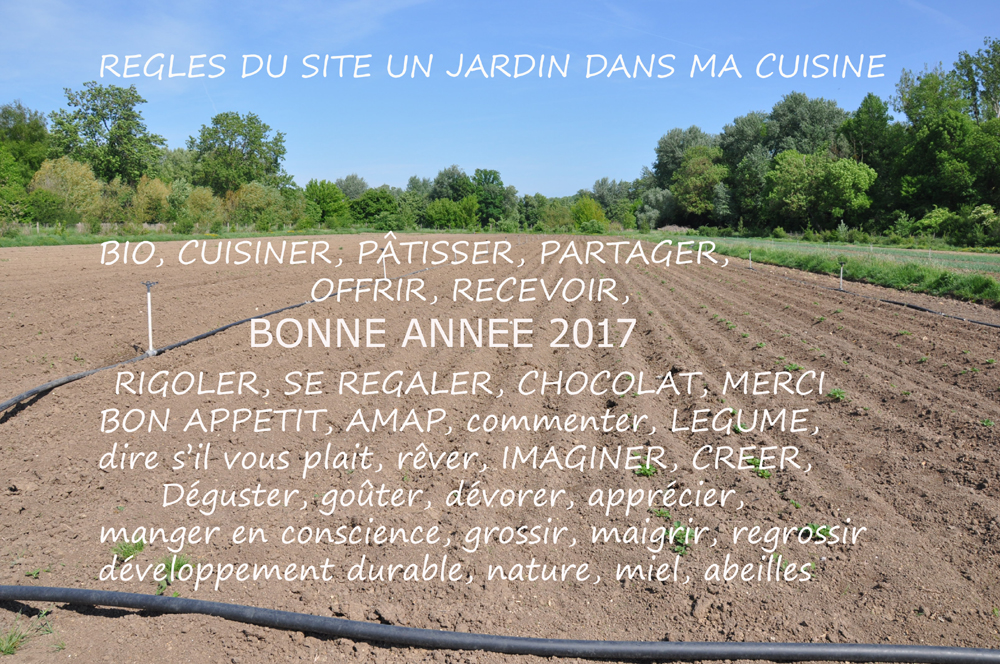 bonne année 2017