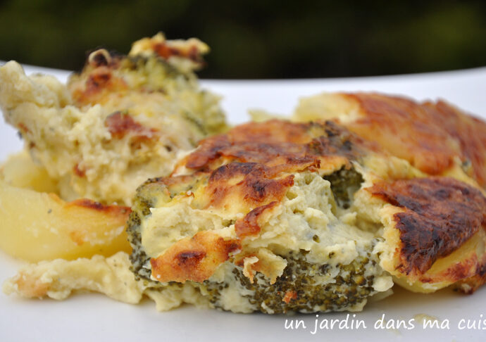 gratin brocoli pommes de terre bleu crémeux