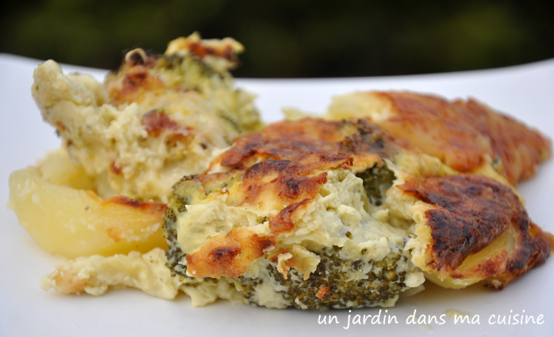 gratin brocoli pommes de terre bleu crémeux