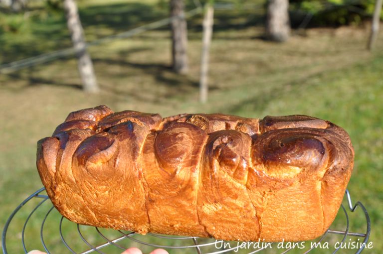 brioche