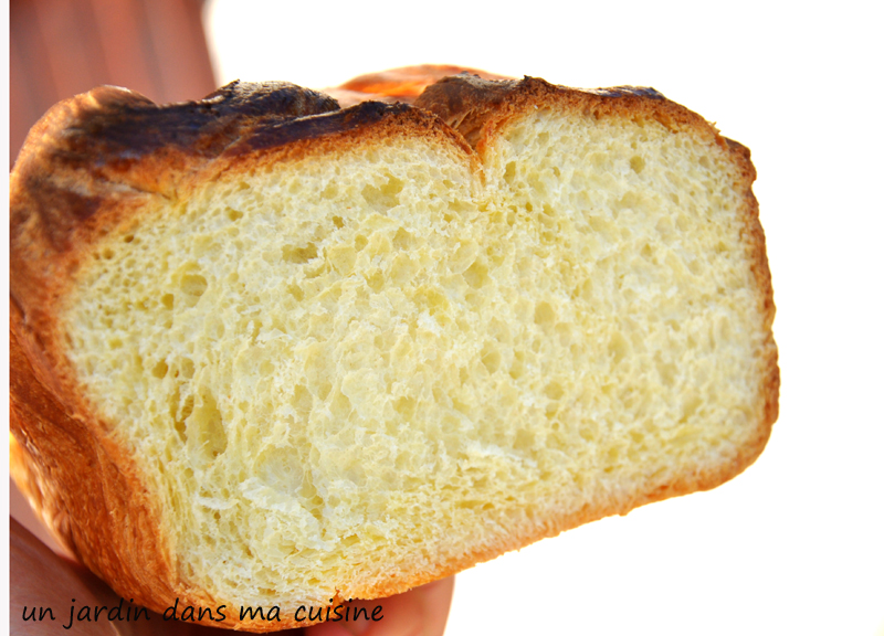 brioche