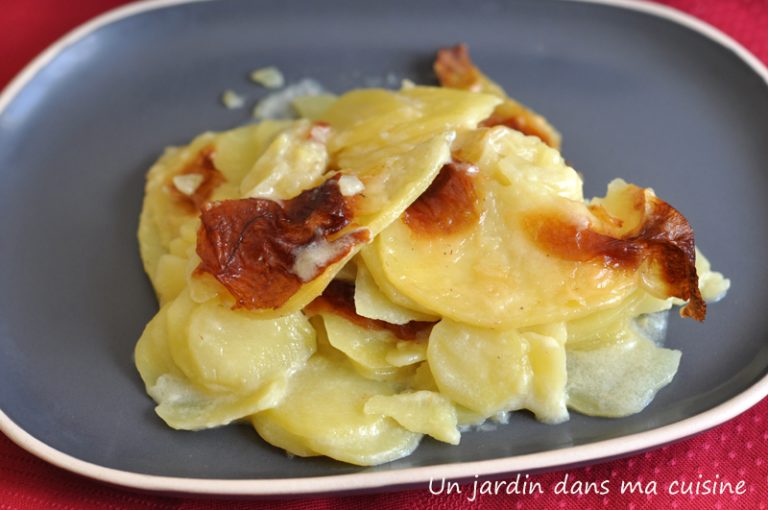 gratin de pommes de terre