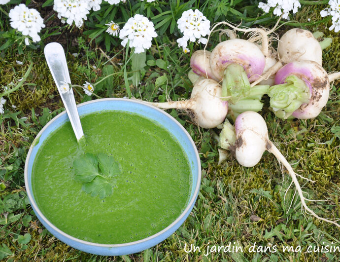 velouté de fanes de navets