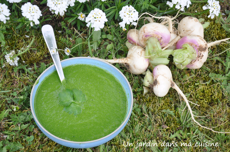 velouté de fanes de navets