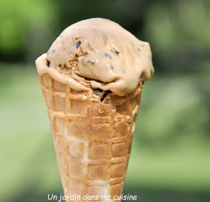 glace chicorée sans sorbetière