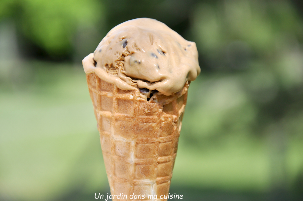 glace chicorée