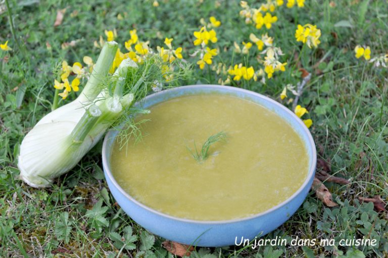 soupe de fanes de fenouil