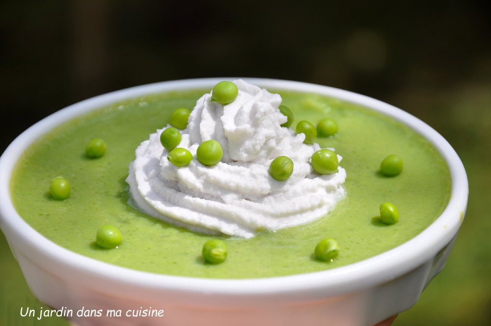 soupe de petits pois frais chantilly au lait de coco