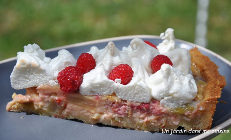 tarte rhubarbe framboise