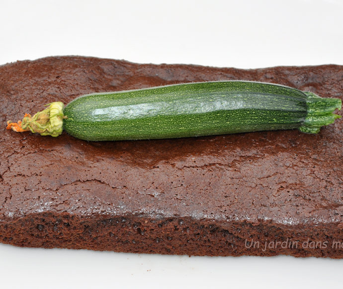gâteau chocolat courgette sans beurre ni farine