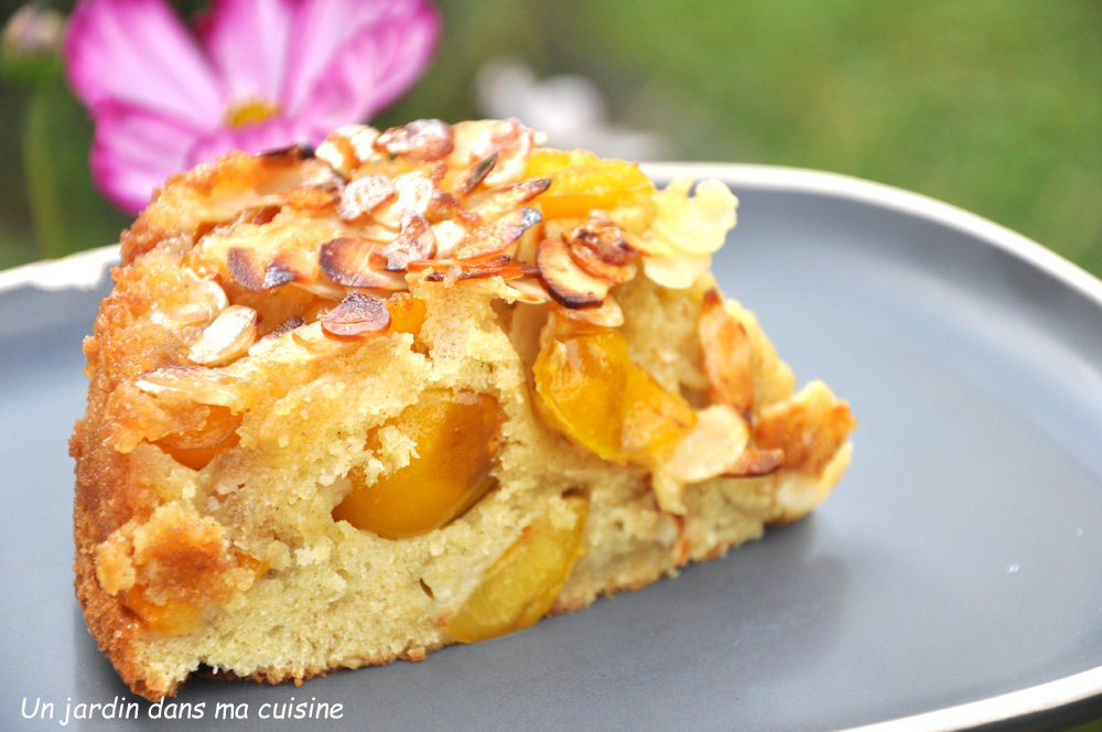 gâteau mirabelles amandes effilées