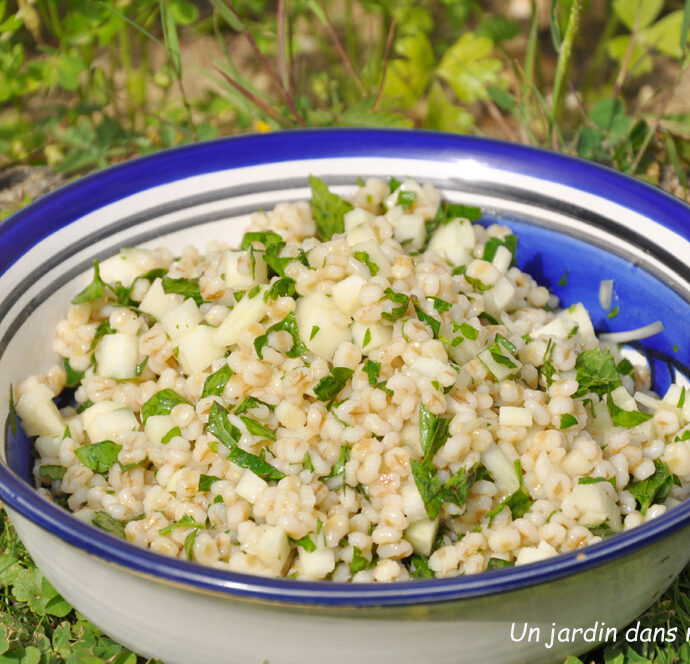 salade orge perlé herbes et brunoise de chou rave