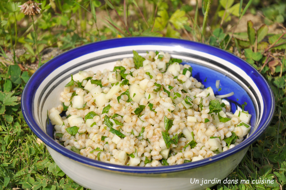 salade orge perlé herbes et brunoise de chou rave