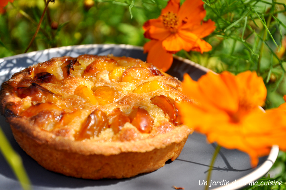 tartelettes mirabelles