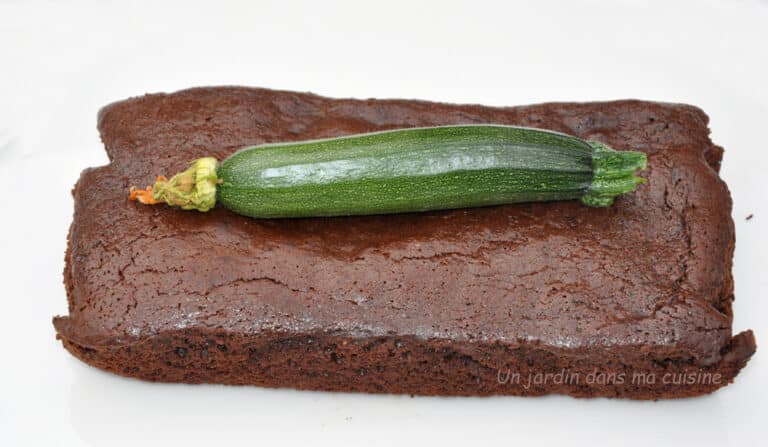 gâteau chocolat courgette sans beurre ni farine