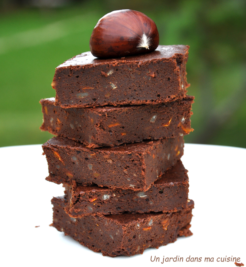 gâteau chocolat marron sans beurre ni farine