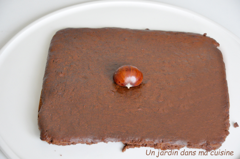 gâteau chocolat marron sans beurre ni farine