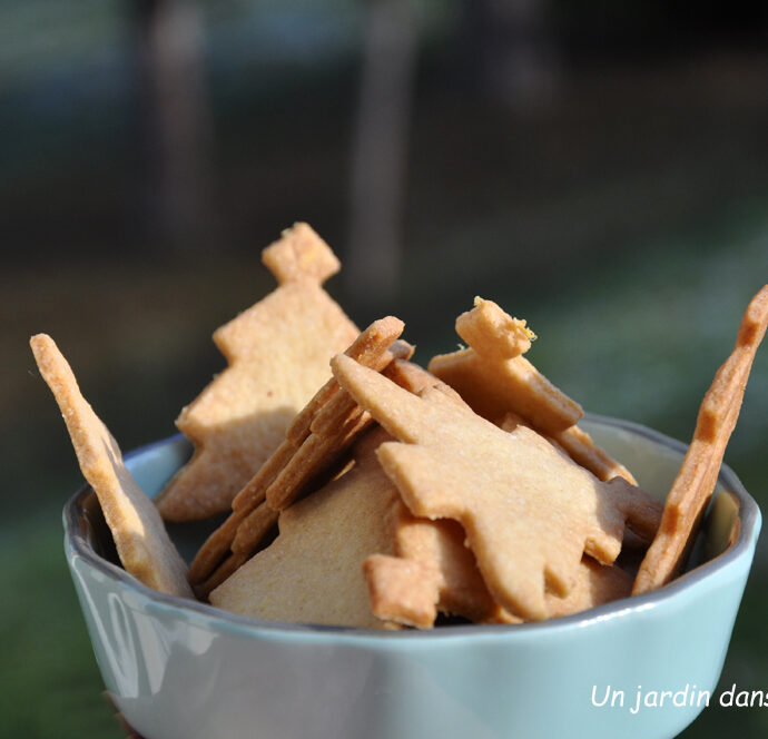 Sablés amandes gingembre frais