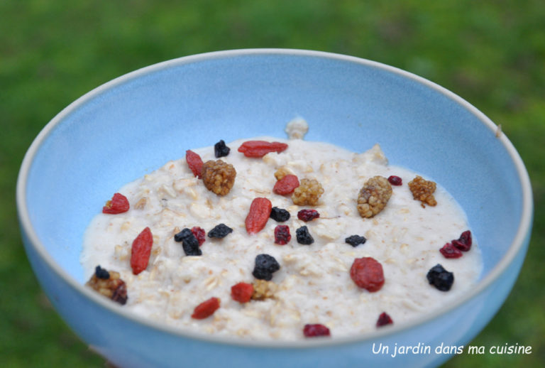 porridge lait végétal et super fruits