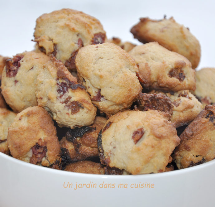 petits biscuits raisins secs canneberges